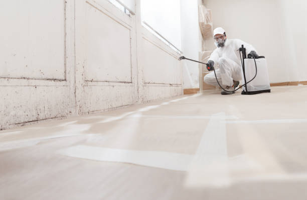 24/7 Emergency Basement Mold Remediation experts in Greenville, NC
